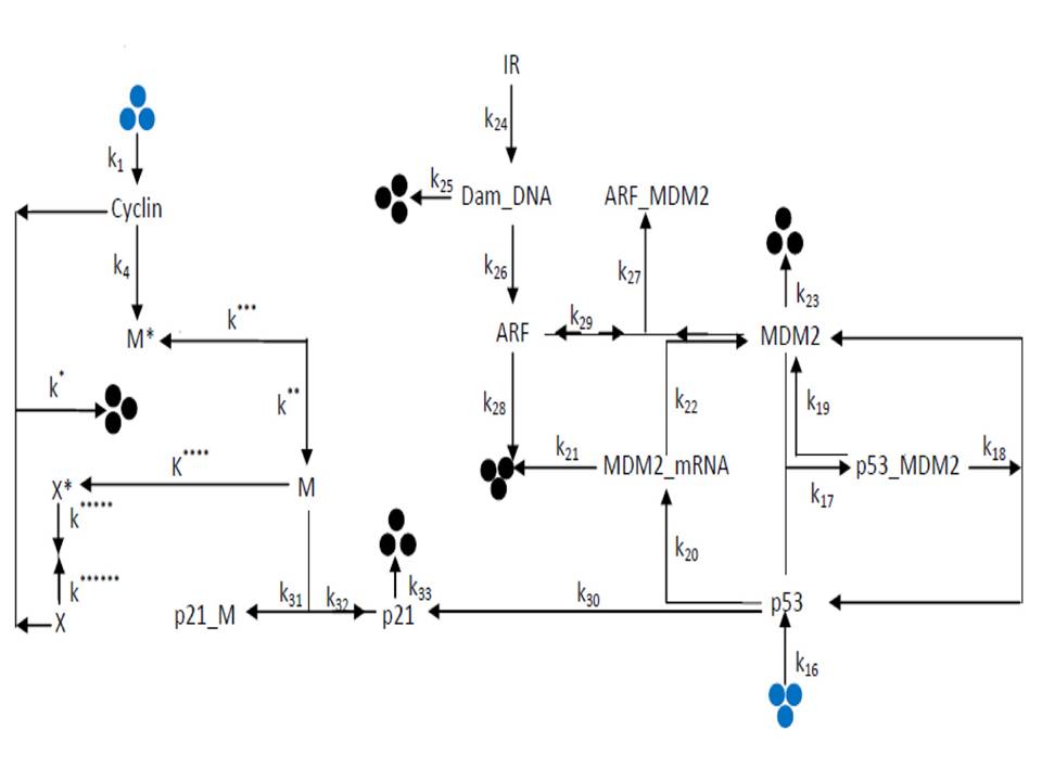 Connected Chemical reactions