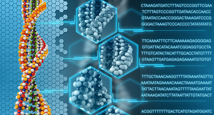 The Basic Concepts Of Genome Assembly Bioinformatics Review