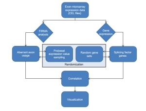 Fig.1