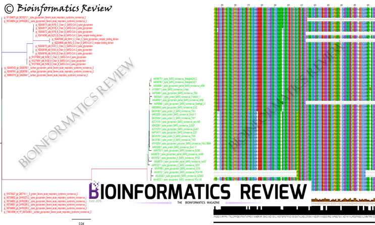 Phylogenetic Tree of Covid Corona Virus with other Species