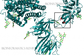 Figure 1. Protein Structure of Corona Virus - Ribbon View