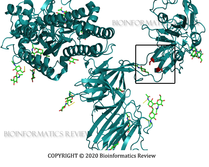 Figure 1. Protein Structure of Corona Virus - Ribbon View