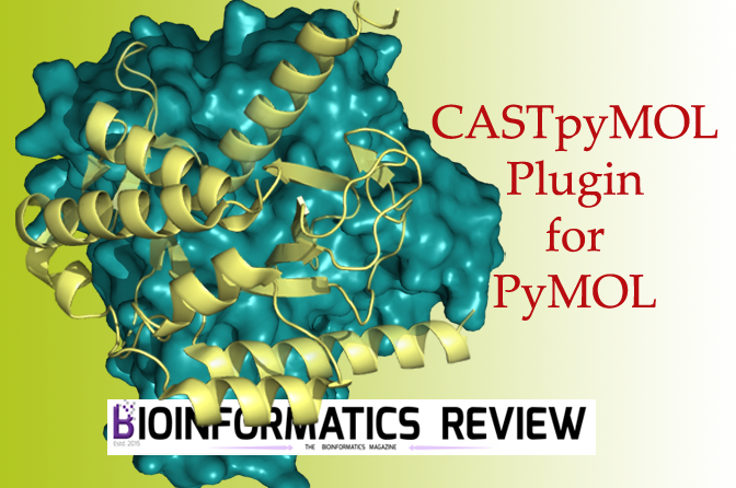 CASTpyMOL plugin for pymol