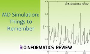 MD Simulation