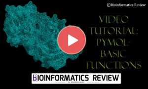 video tutorial: Pymol basics