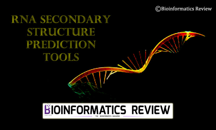 RNA secondary structure prediction tools