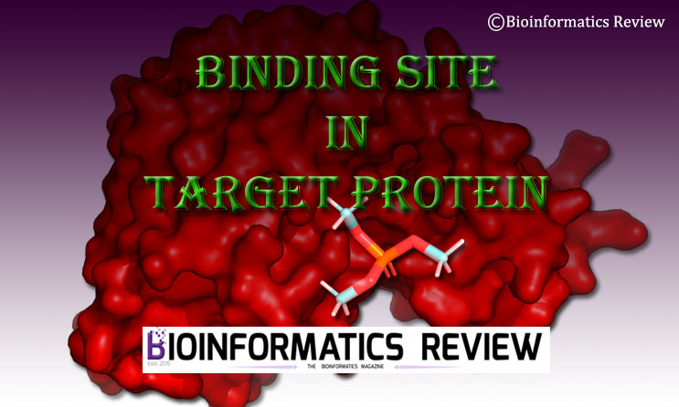Finding binding pocket in target protein