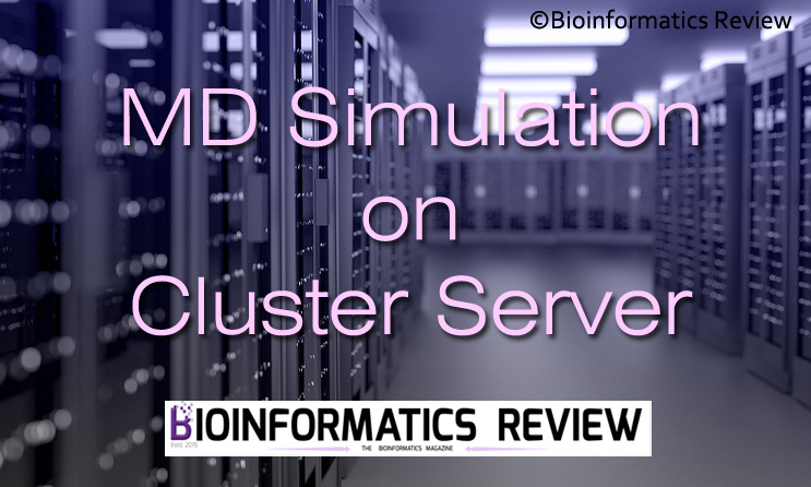 MD Simulation on cluster server