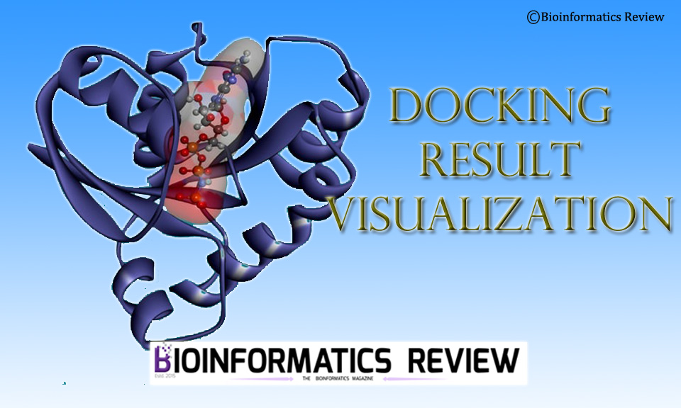 docking result visualization tools