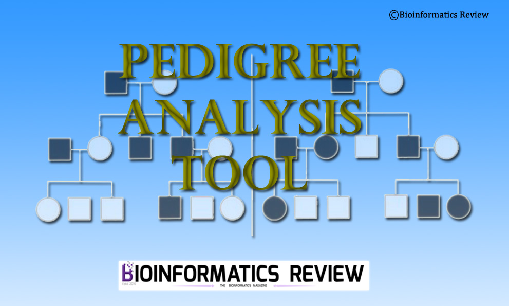 peddrew: pedigree analysis tool