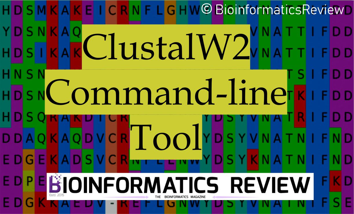Installing clustalw2 command-line tool on Ubuntu