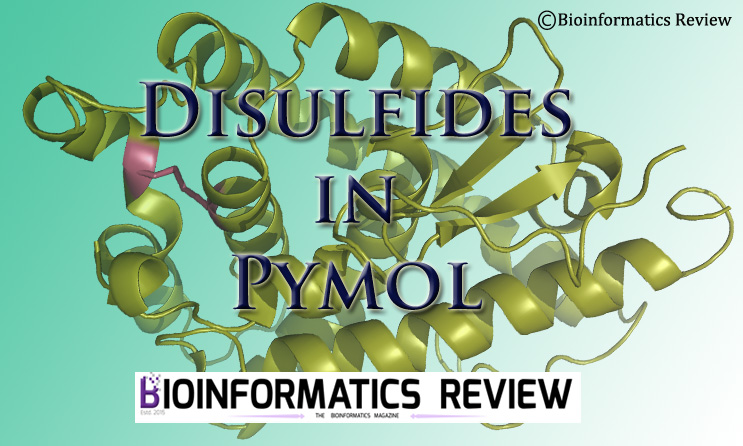 find disulfides in protein structure using pymol