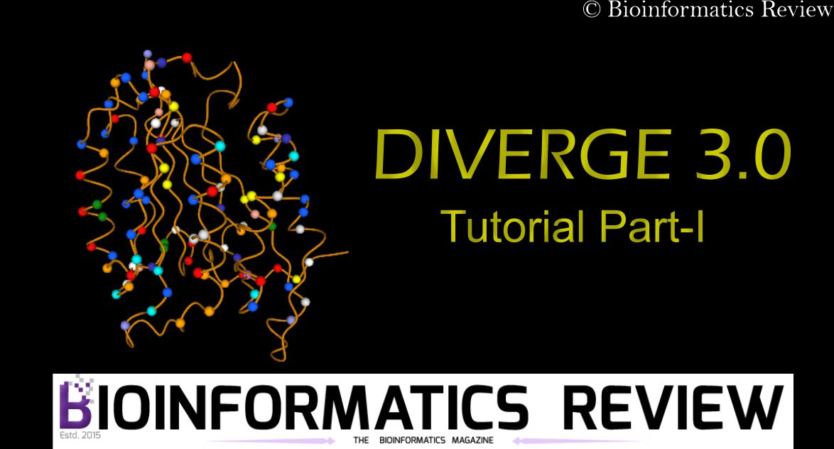 diverge 3.0 tutorial