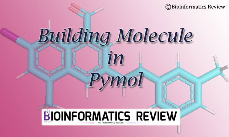 Build molecules in Pymol