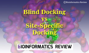 Blind docking vs site-specific docking