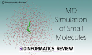 MD Simulation of small molecules