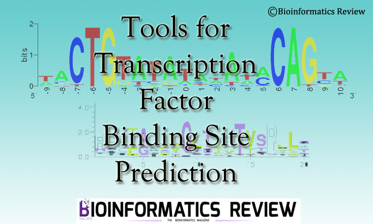 bcftools install