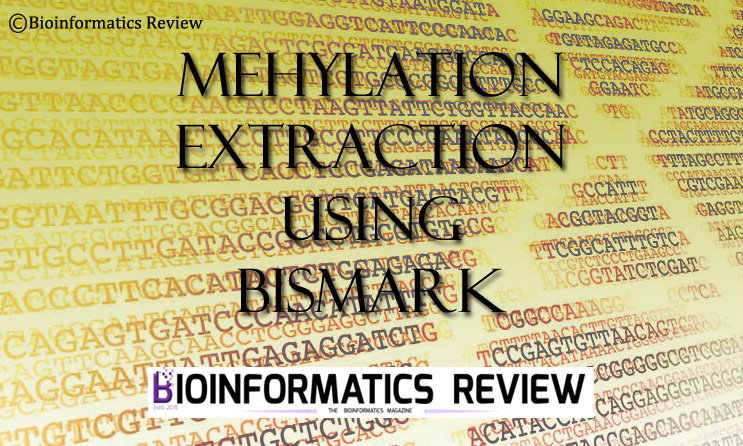 How to extract methylation call using Bismark?