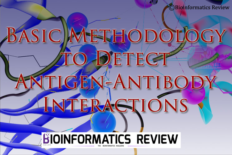 antigen-antibody interaction prediction