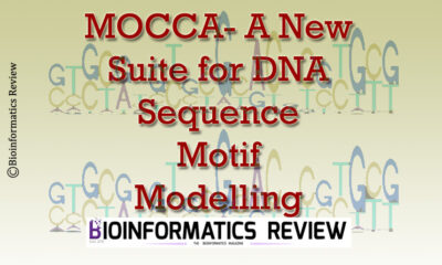 MOCCA- A New Suite to Model cis- regulatory Elements for Motif Occurrence Combinatorics