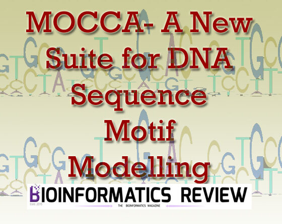 MOCCA- A New Suite to Model cis- regulatory Elements for Motif Occurrence Combinatorics