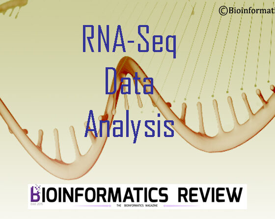 RNAdetector- New Tool for RNA-Seq Data Analysis