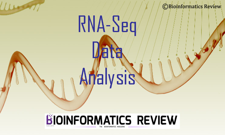 RNAdetector- New Tool for RNA-Seq Data Analysis