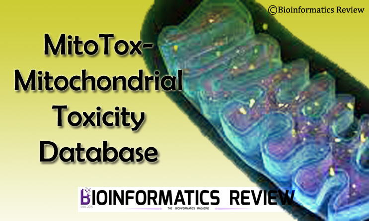MitoTox- A new mitochondrial toxicity database