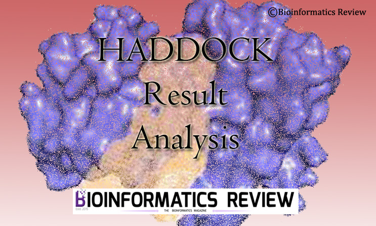 How to analyze HADDOCK results using Pymol script generated from PRODIGY?