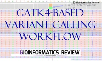 OVarFlow- A GATK4-based variant calling workflow