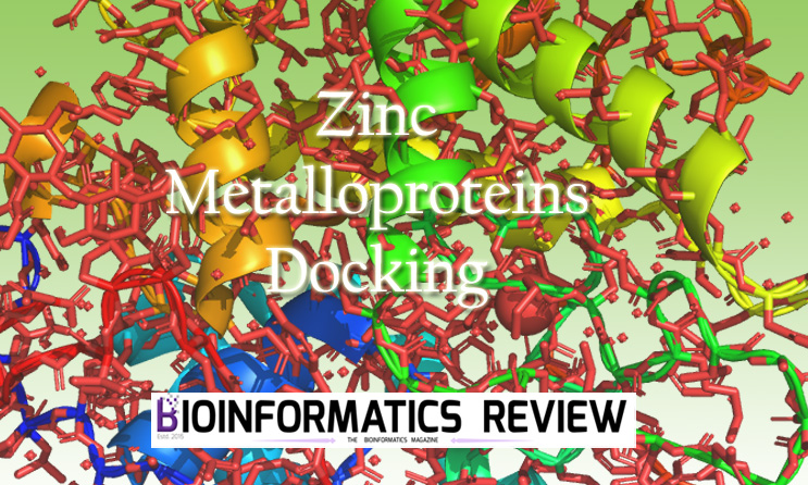 [Tutorial] How to perform docking of zinc metalloproteins using Autodock Vina?