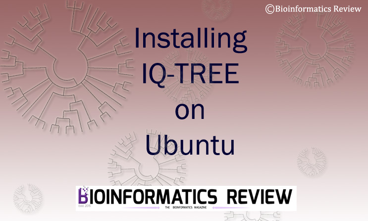 How to install IQ-TREE on Ubuntu (Linux)?
