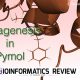 mutagenesis in pymol