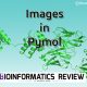 How to save good quality images in Pymol?