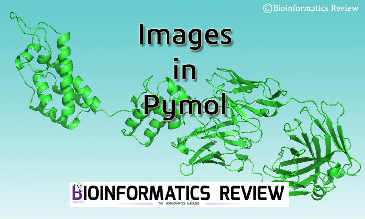 How to save good quality images in Pymol?
