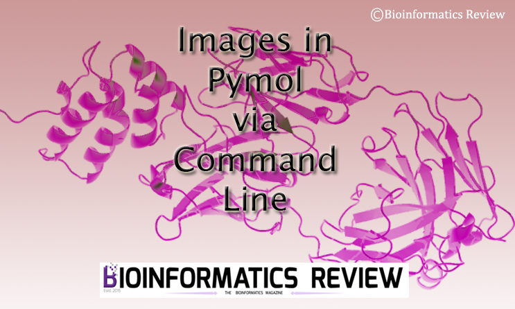 How to save high resolution images in Pymol using command line?