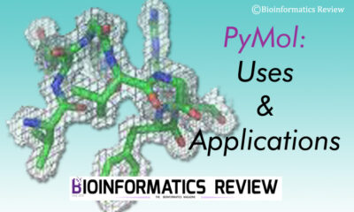 PyMol: Uses & Applications