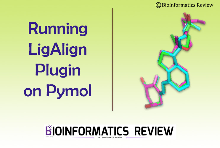 How to run LigAlign plugin on Pymol?