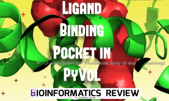 How to calculate binding pocket volume using PyVol plugin in PyMol?