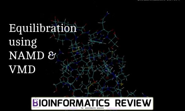 Energy minimization and equilibration of simple protein using NAMD & VMD.